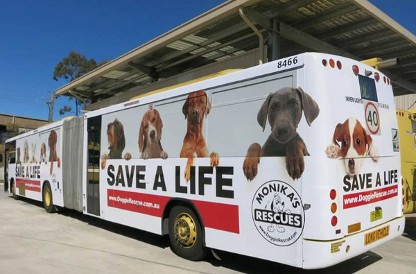 Doggie Rescue Bendy Bus