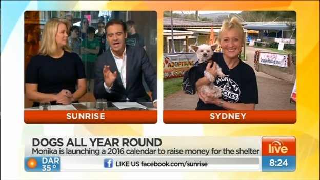 Doggie Rescue on Sunrise