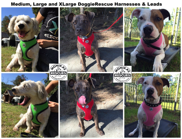Doggie Rescue Harnesses - Medium, Large & Extra-Large