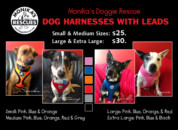 Doggie Rescue Harnesses